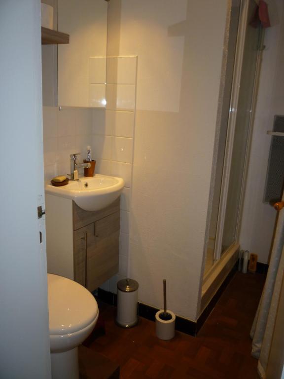 a bathroom with a toilet and a sink and a shower at au vieux cèdre in Mouvaux