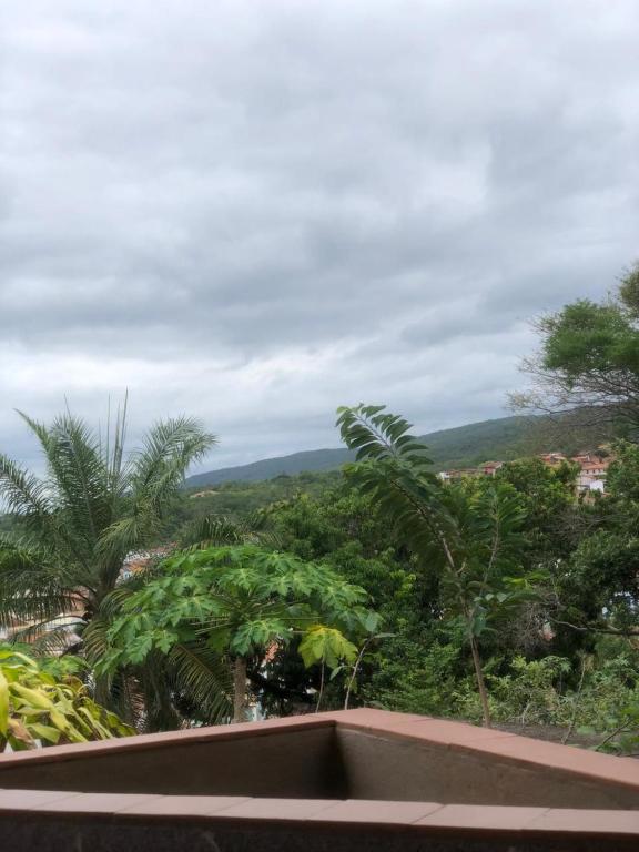 a view from the roof of a house with trees at pousada in Lençóis