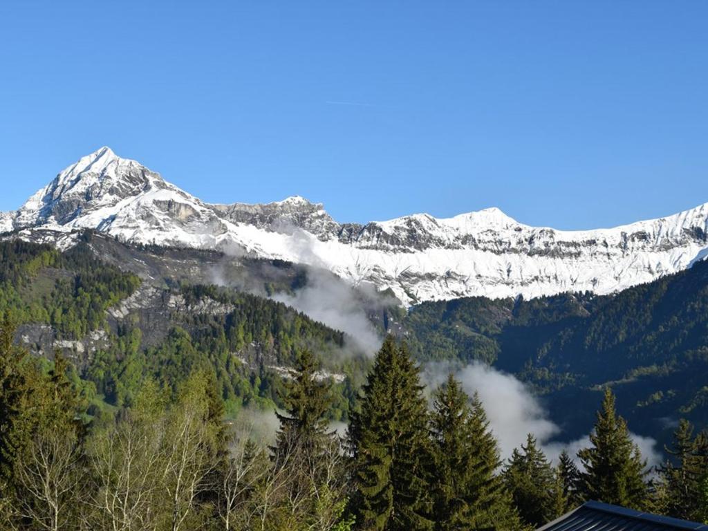 une montagne enneigée avec des arbres devant elle dans l'établissement Appartement 2 pièces, 4 pers, proche pistes et commerces - FR-1-733-167, à Crest-Voland