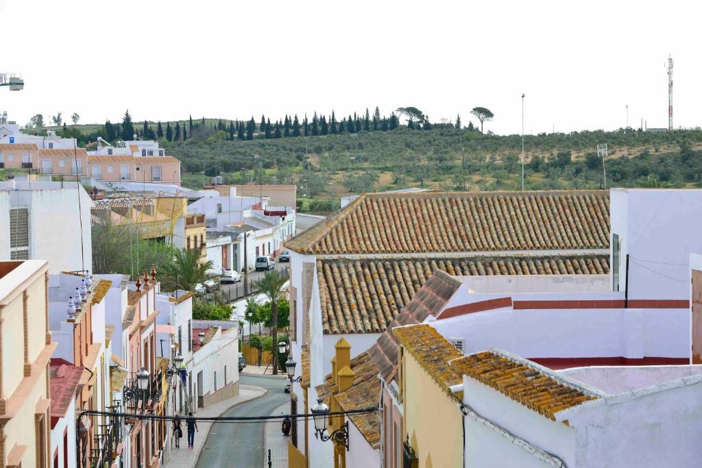 einen Luftblick auf eine Stadtstraße mit Gebäuden in der Unterkunft New Andalusian House 33 Free Private Parking in Mairena del Alcor