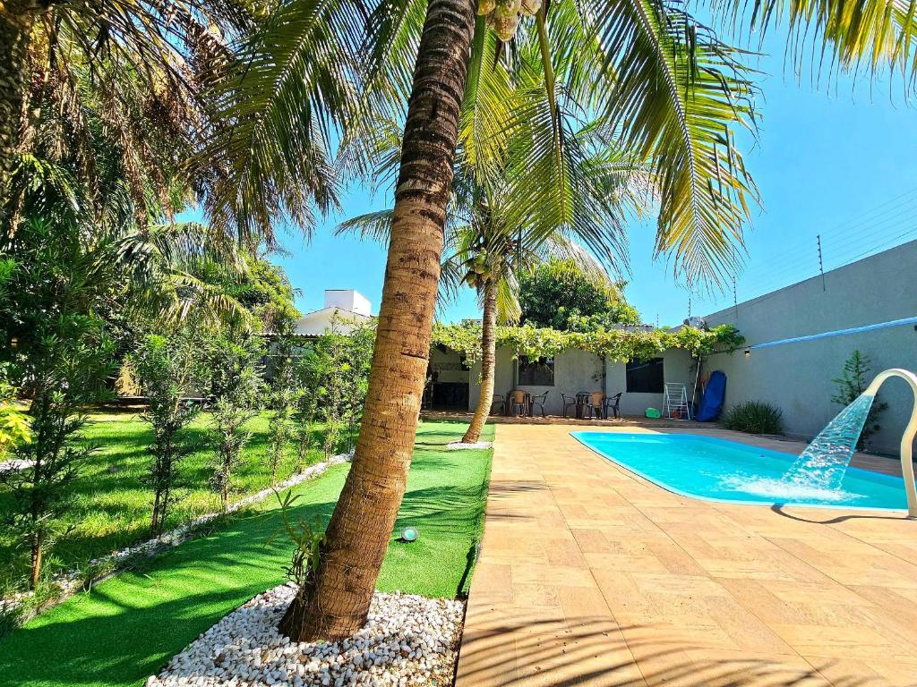 a palm tree next to a swimming pool at Casa 2 quartos 2 banheiros em meio a Área Verde in Foz do Iguaçu