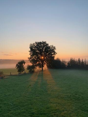 Billede fra billedgalleriet på Große Ferienwohnung in einer Villa im Grünen i Neustadt am Kulm