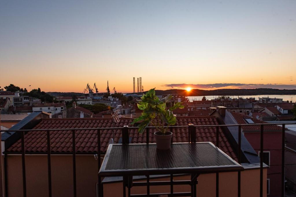 Focus Apartment Pula