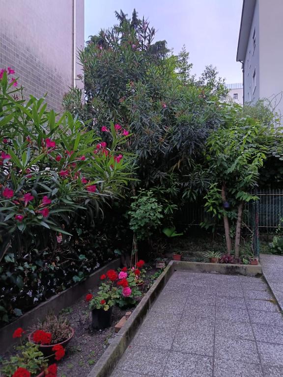 梅斯特Stay Venice Station的一座花园,在一座建筑中种有鲜花和植物