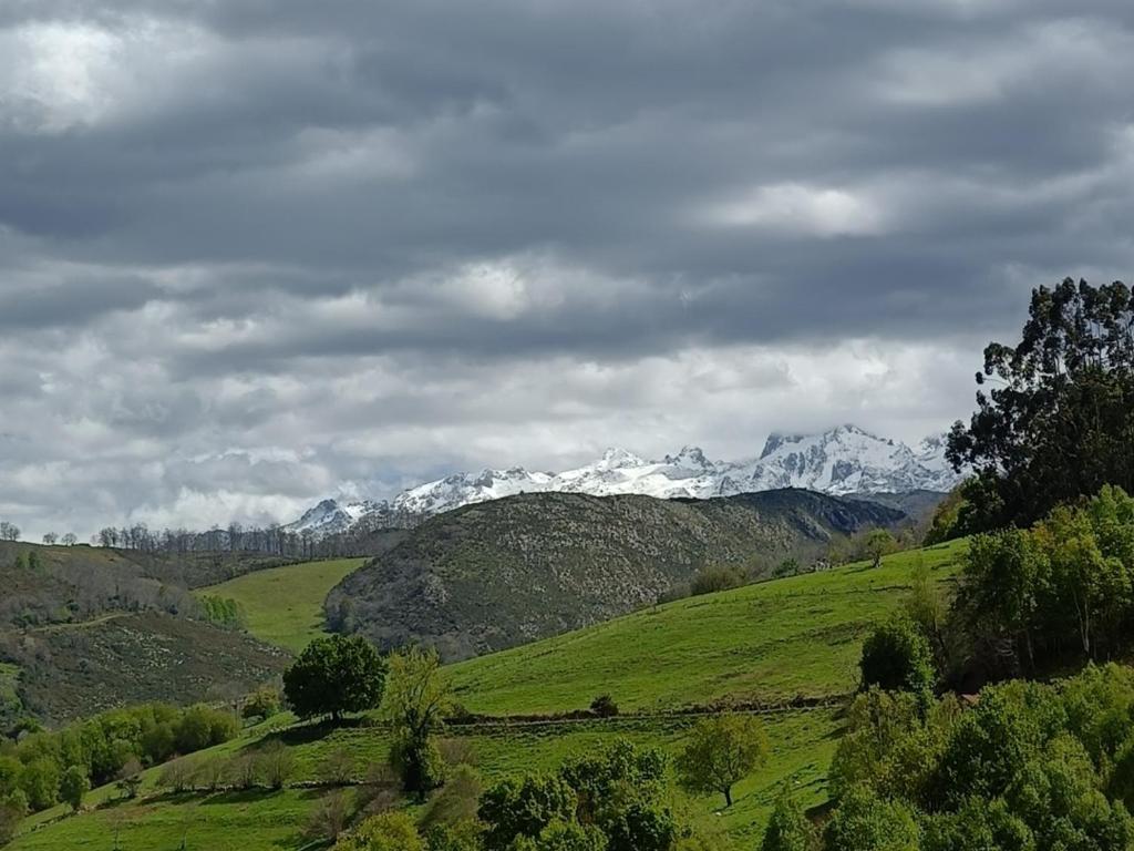 a green field with snow capped mountains in the background at Apartamentos casalola in Cangas de Onís
