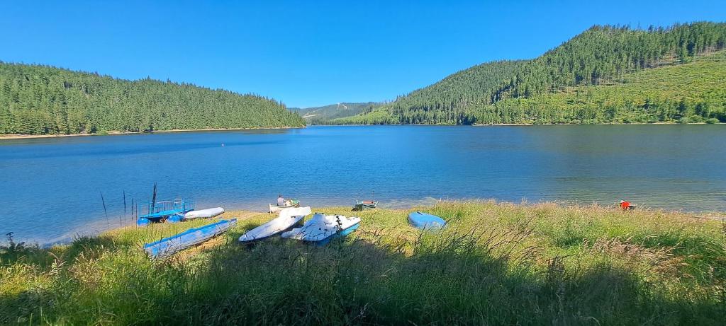 a group of boats on the shore of a lake at Vila Nature and Luxury in Beliş