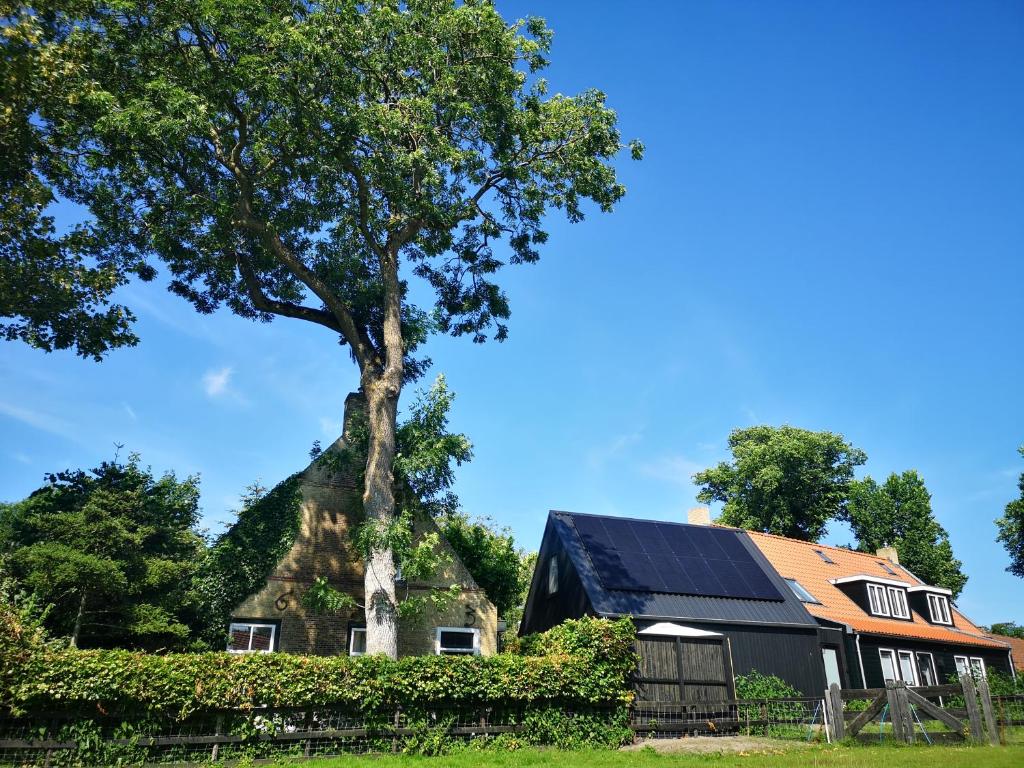 an old barn with a tree growing out of it at Lanterfant in Nes