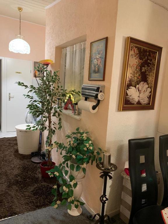 a living room with a plant and a bathroom at Novi in Grünstadt