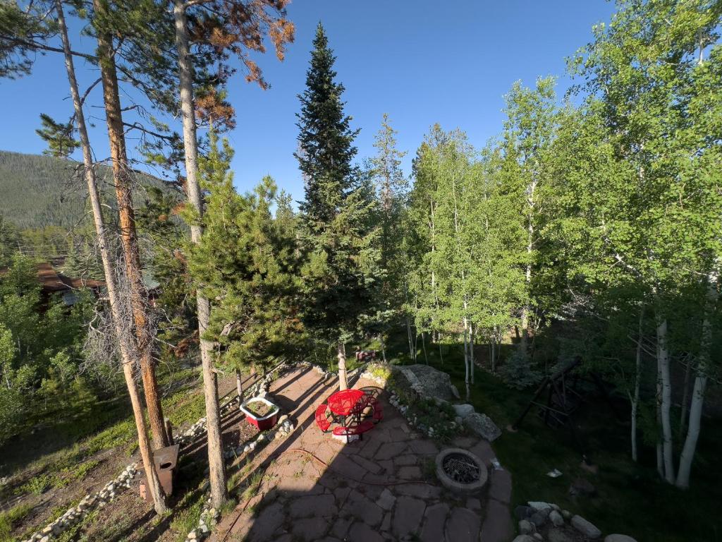 Příroda nedaleko apartmánu