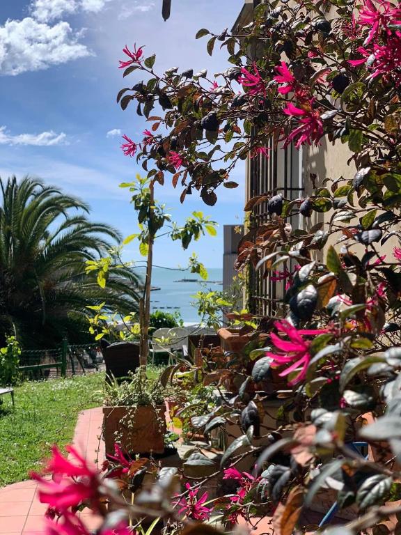 a bush with pink flowers next to a building at Caligo B&B Secret Garden Villa Room vicino alle Cinque Terre in La Spezia