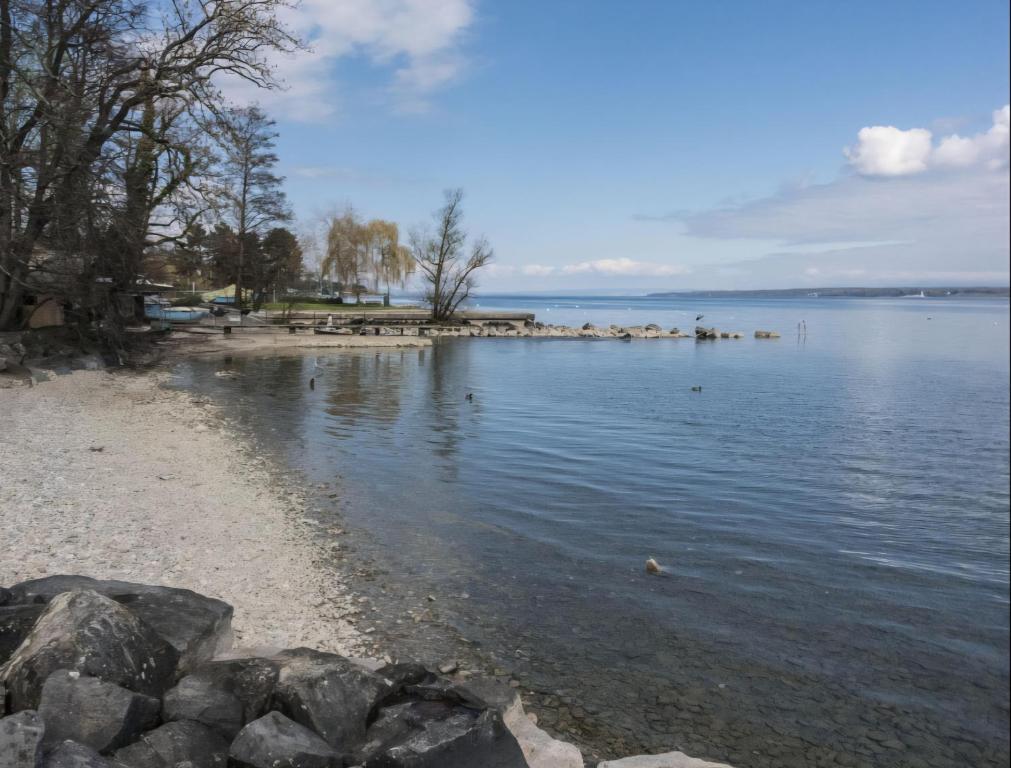 uma praia com pedras e um corpo de água em Séjour calme près du Léman em Mies