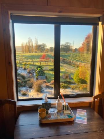 Cabin-on-Swayne - Resim 13