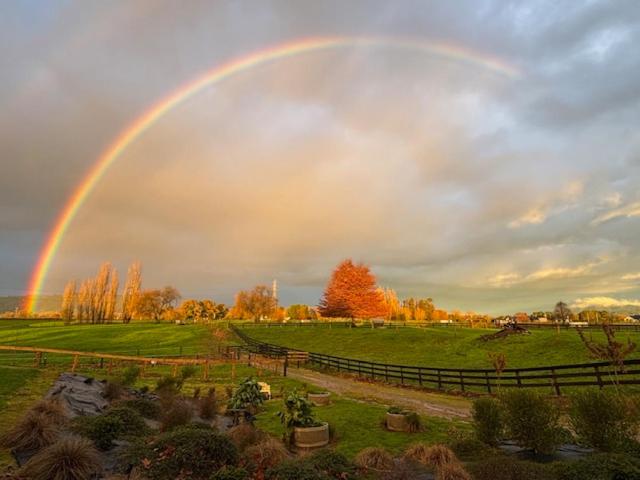 Cabin-on-Swayne - Resim 14