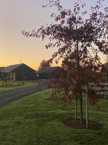 Cabin-on-Swayne - Resim 17