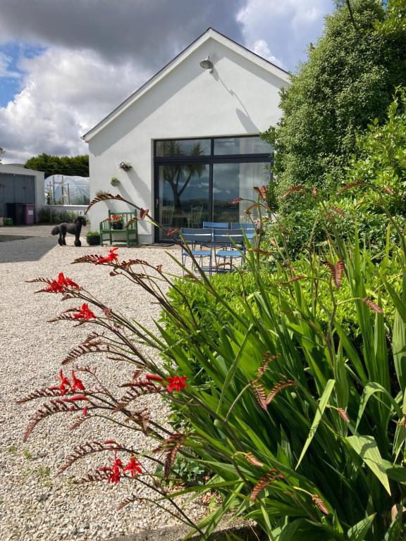 a white house with red flowers in front of it at The Birdhouse with Hot Tub in Gortahork