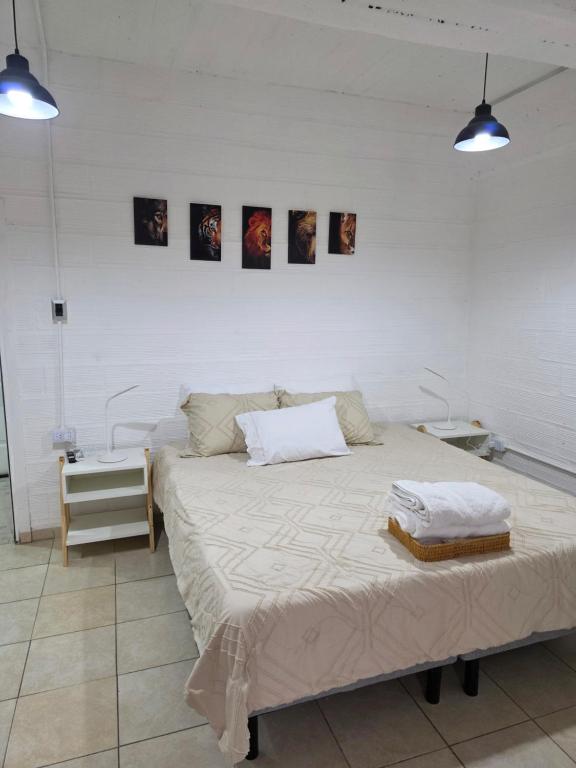 a bedroom with a bed with two pillows on it at Departamento equipado, centrico, cochera cubierta Sarmiento265apart D15 in San Fernando del Valle de Catamarca