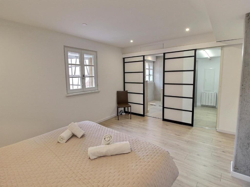 Duplex élégant pour 4 pers avec garage au centre de Colmar – photo 14