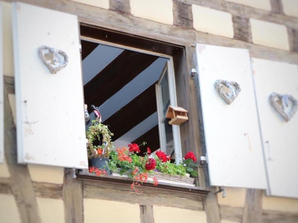 Duplex élégant pour 4 pers avec garage au centre de Colmar – photo 32