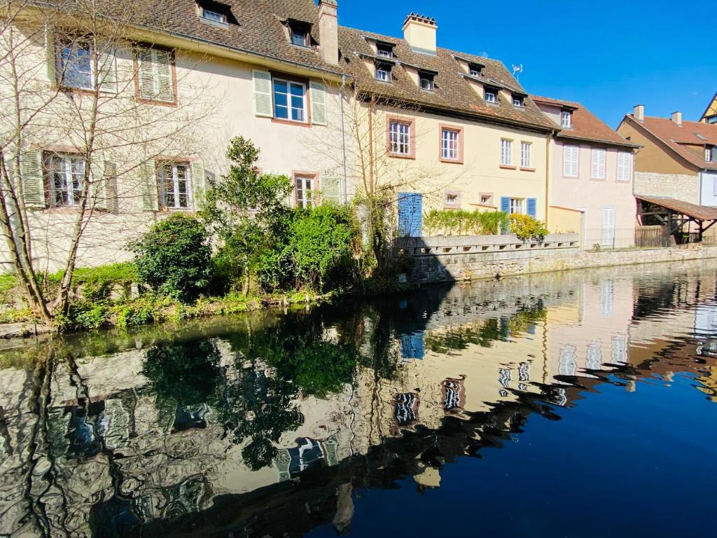 Duplex élégant pour 4 pers avec garage au centre de Colmar – photo 6