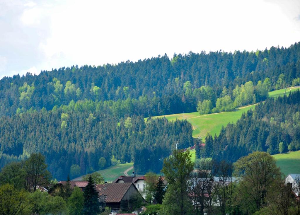 Príroda v okolí apartmánu