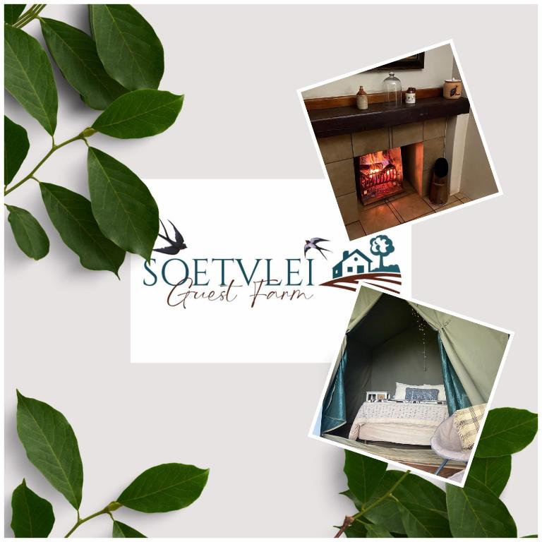 a room in a tree house at Soetvlei Farm Cottage in Rustenburg