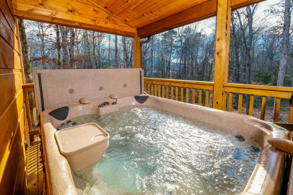 Billede fra billedgalleriet på Bearly Enough Time i Sevierville