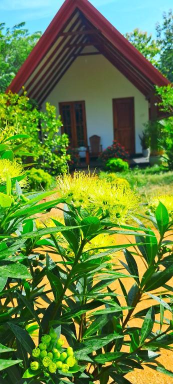 Sigiri Enaya Cottage - 14