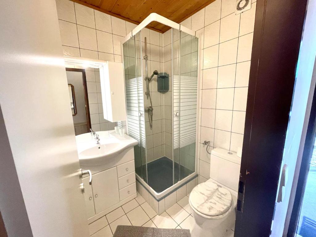 默德林Rustikales Apartment in Mödling的带淋浴、马桶和水槽的浴室