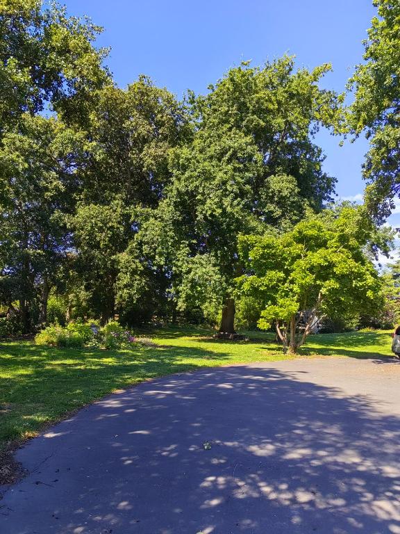 Cozy 3 ?????? - Resim 14