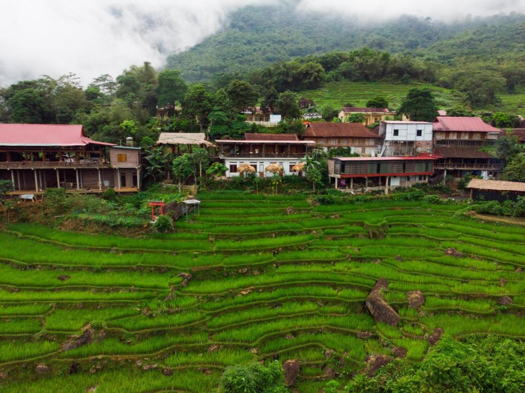 OH Pu Luong Homestay - 16