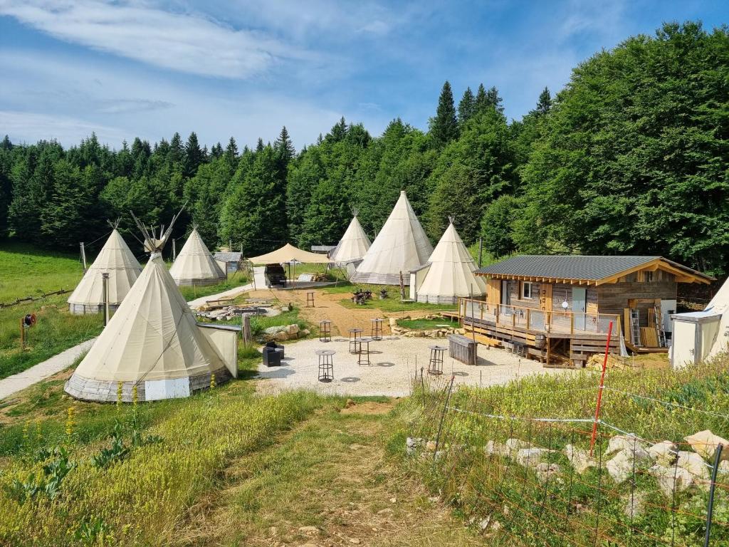 een groep tenten in een veld met bomen bij Village Tipi in La Féclaz