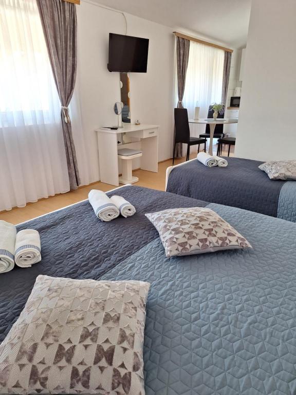 Apartments Kozjan - 14