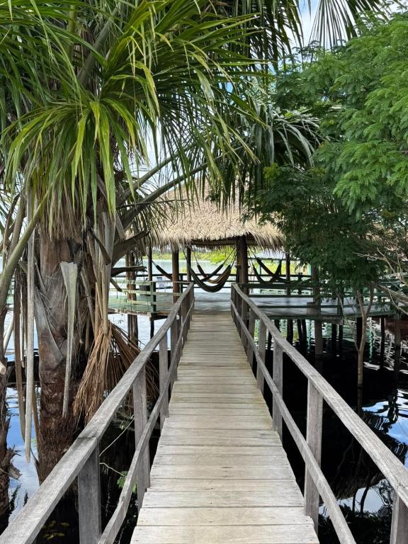 un puente de madera sobre un cuerpo de agua con palmeras en Amazônia LODGE Exxperience, en Manaus