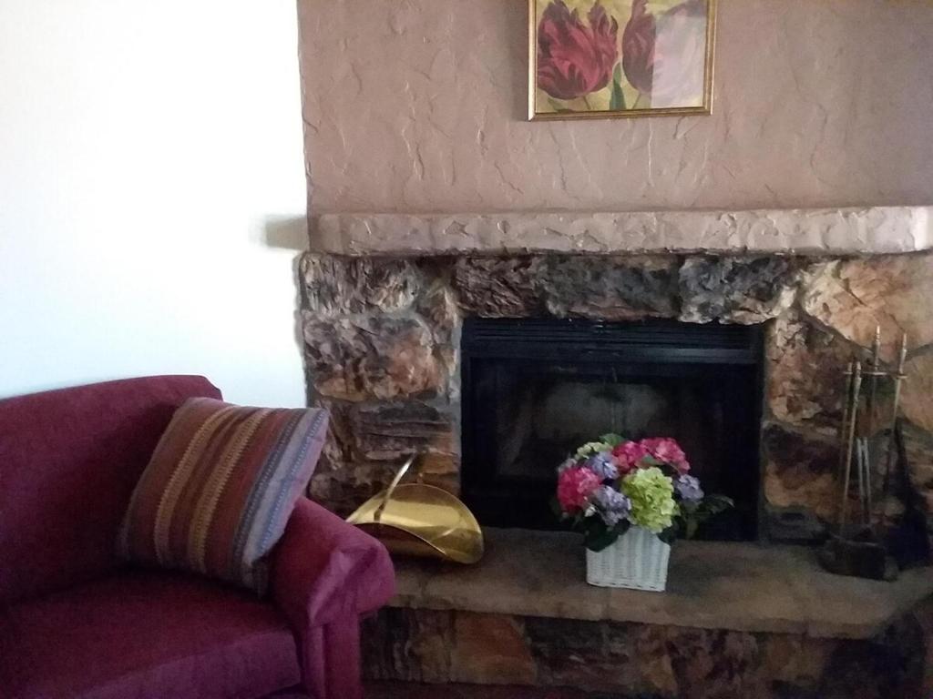 a living room with a fireplace with a vase of flowers at Comfortable Generously Furnished Home in Sierra Vista