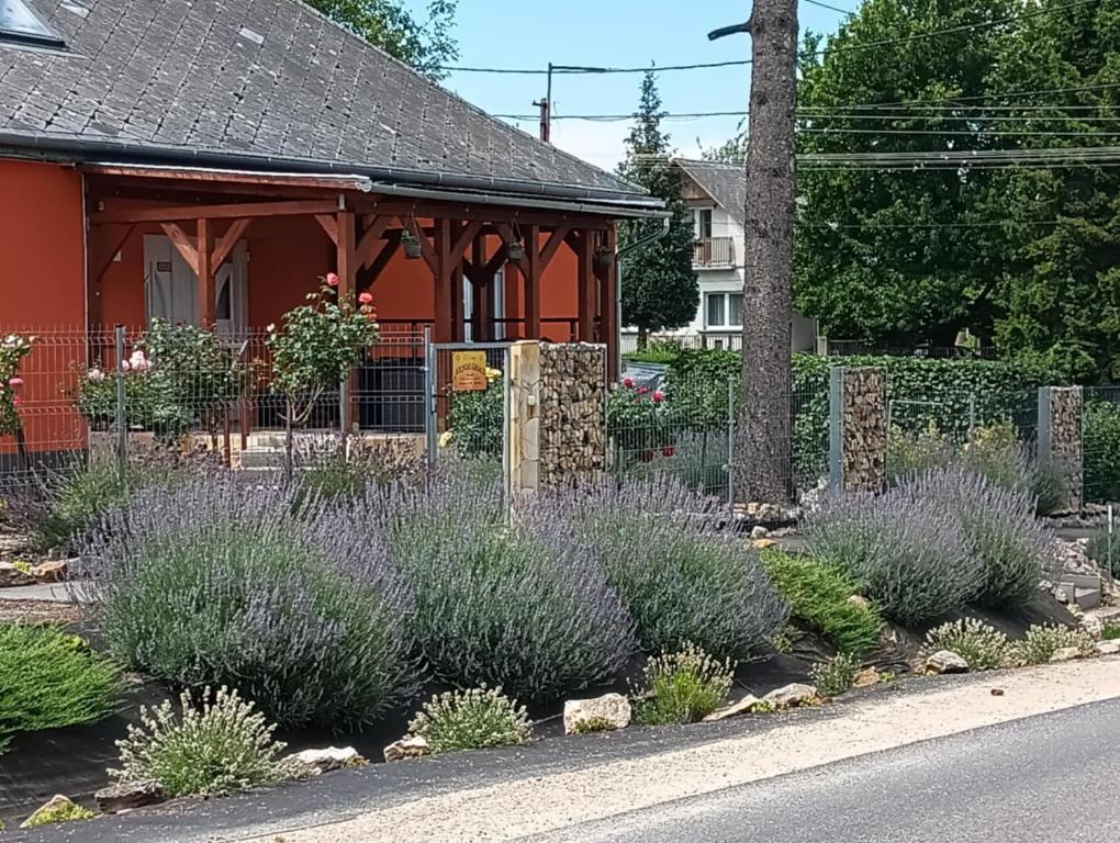 a garden in front of a house with lavender at Rózsa vendégház in Zirc