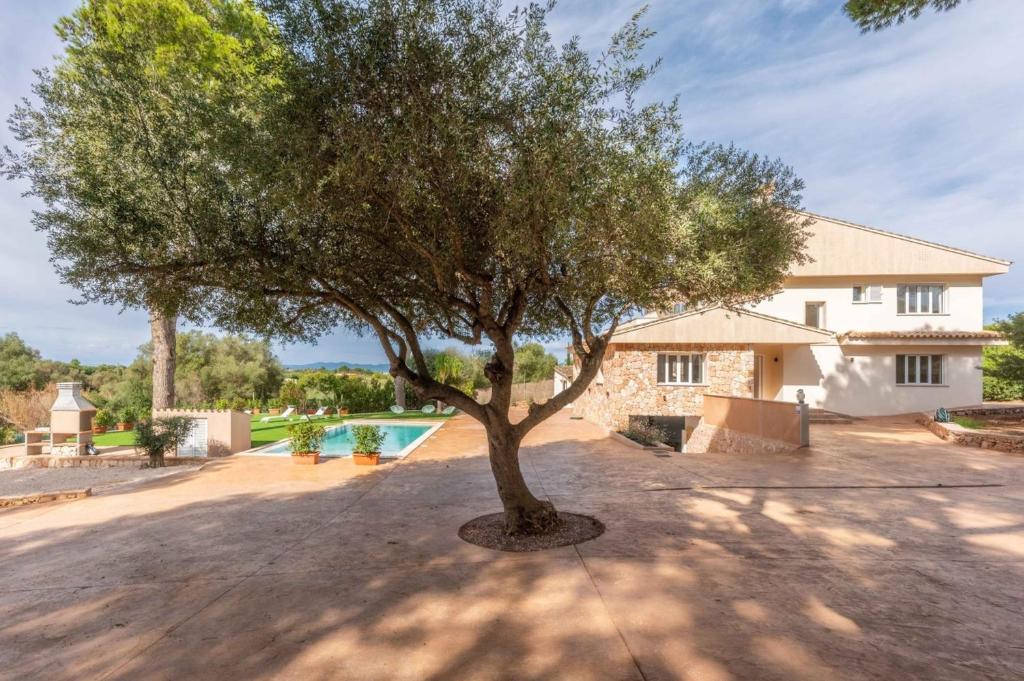 La alberca dentro o cerca de Villa Can Luciana