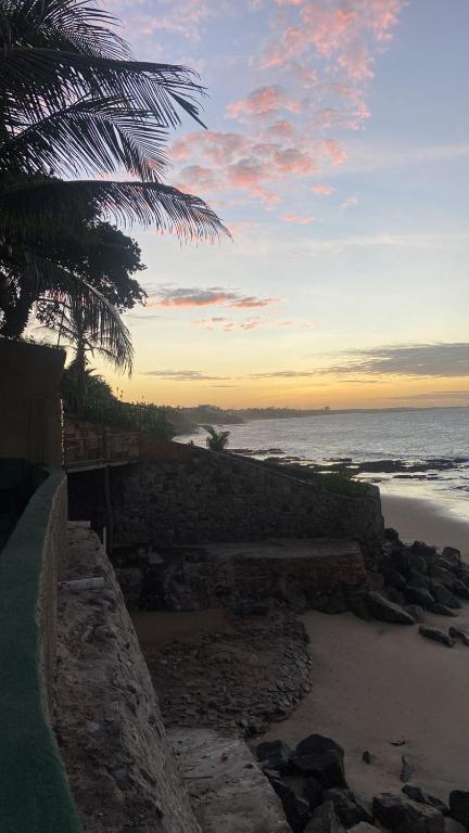 a view of a beach with a palm tree and the ocean at La France in Caucaia