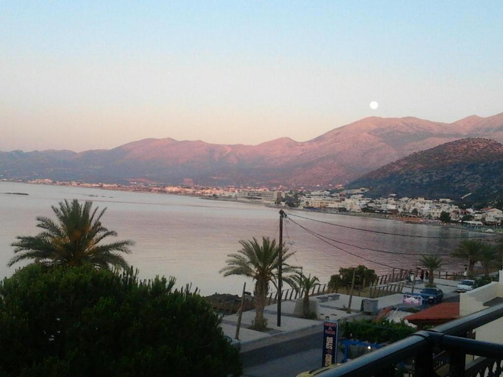 a view of a large body of water with palm trees at Diamond Beach Apts & Studios in Stalida
