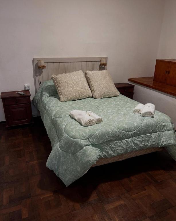 a bedroom with a bed with a dog laying on it at La Casita de Salta 421 in Concordia