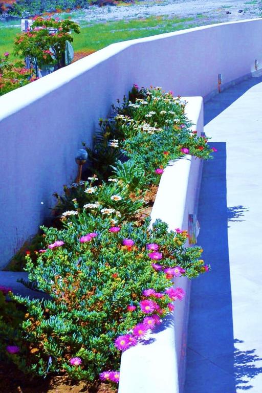 Lovely Hot-L - Resim 9