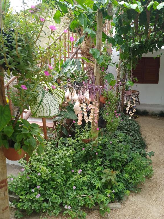 a garden filled with lots of plants and flowers at Casas Bennu Preá in Prea
