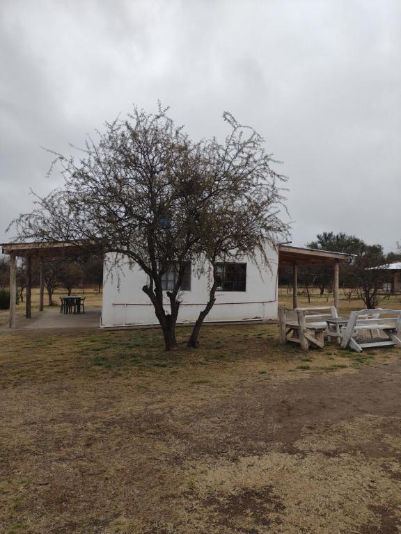 a building with two picnic tables and a tree at El CAMPITO in La Ramada