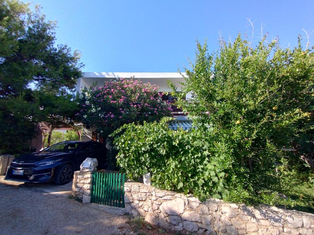 Gambar di galeri bagi House with a garden 50m from the sea di Pag