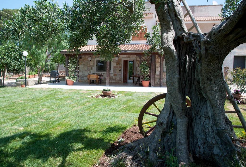 Zahrada ubytování Villa Don Cosimo Tra Ulivi Secolari