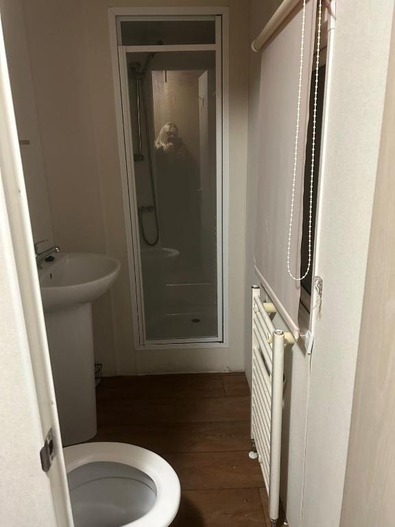 a bathroom with a toilet and a sink and a shower at 2 bed caravan seawick hoilday Park in Clacton-on-Sea