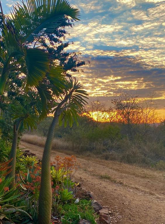 a palm tree on the side of a dirt road at Die Kothuis in Malelane