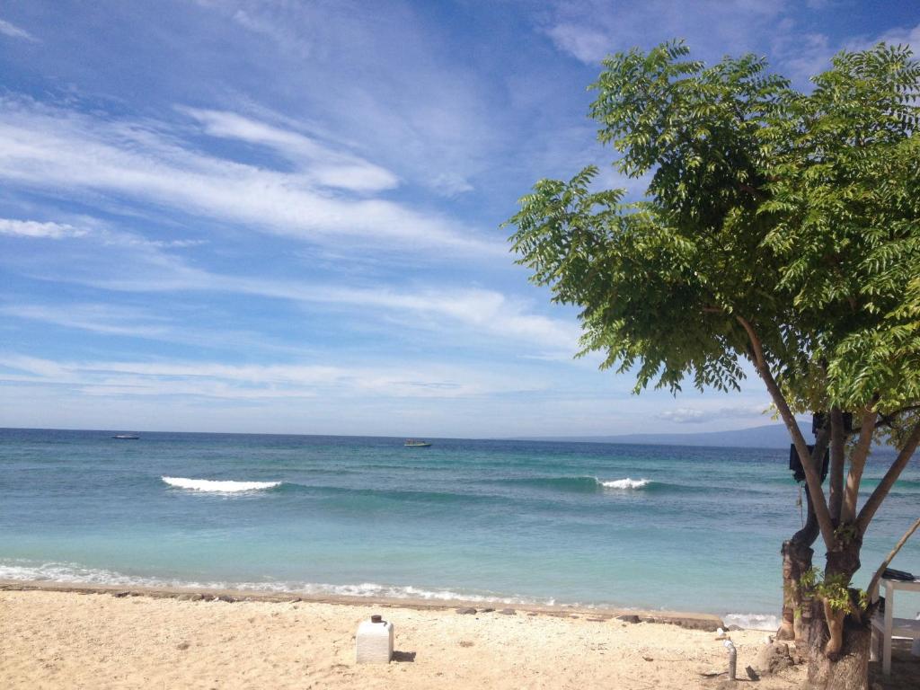 a beach with a tree and the ocean at Love Shack Shangri-la Gili Meno in Gili Meno