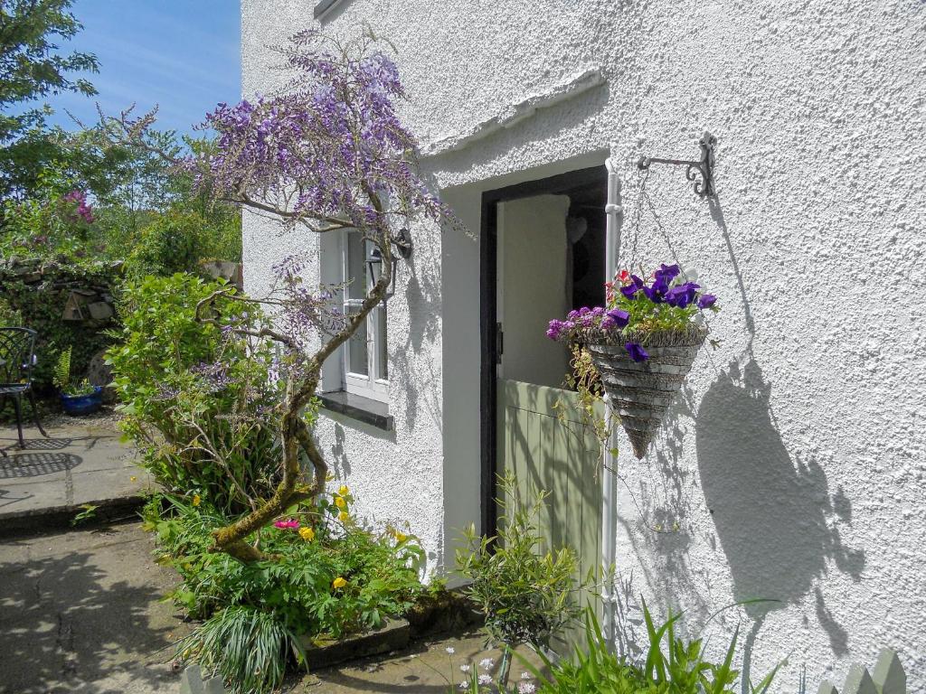 a white house with flowers in a window at Cragg Cottage in Bouth