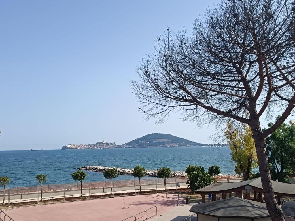 Φυσικό τοπίο κοντά σε αυτό το διαμέρισμα