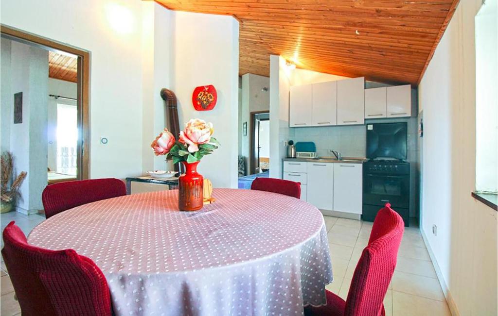 Η κουζίνα ή μικρή κουζίνα στο Gorgeous Apartment In Premantura